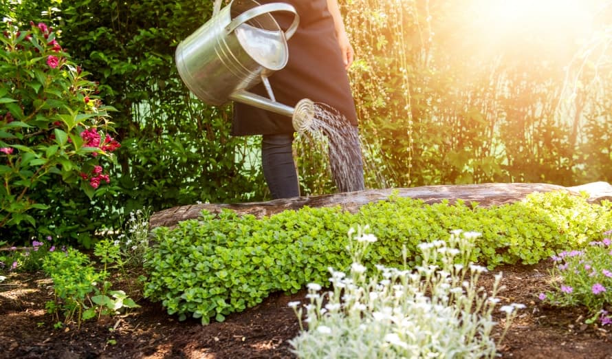 Gardening Services