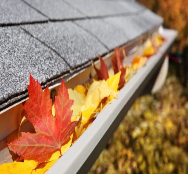 Gutter Cleaning