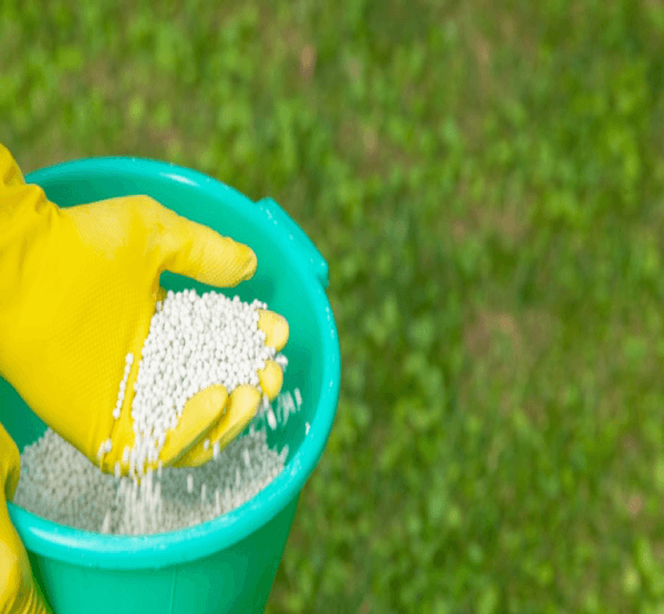 Lawn Fertilizing