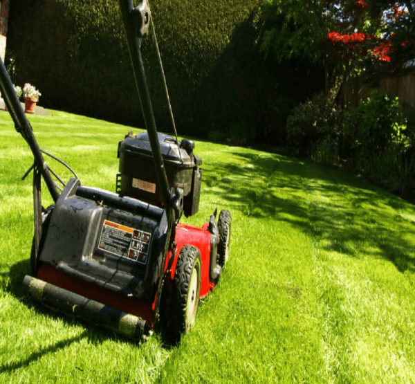 Lawn Mowing